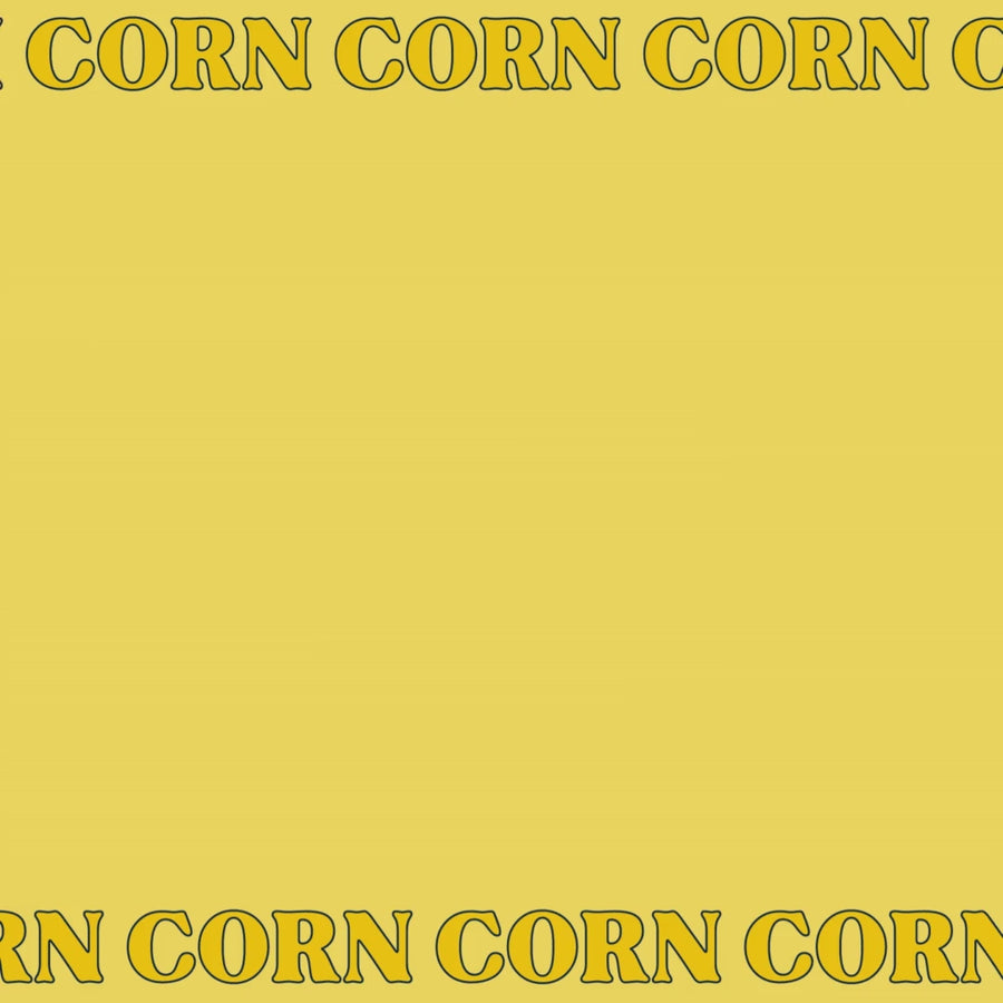 Orion Turtle Chips Cornsoup Flavor Big Size 5.6oz(160g)