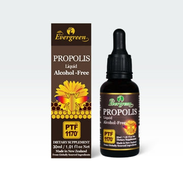 Evergreen Propolis Liquid (Alcohol Free) 1.05 fl.oz(30ml)